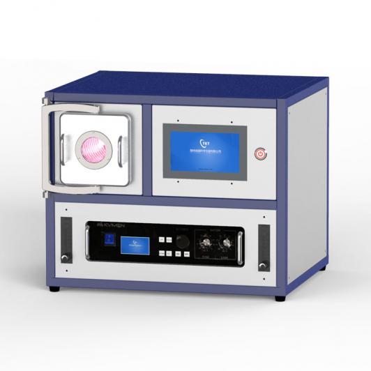 500W/1000W 2L plasma cleaner CY-P2L-500W